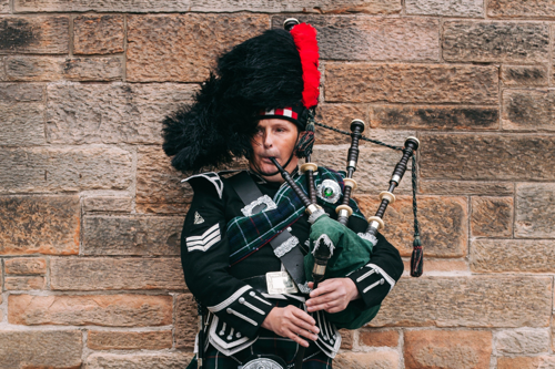 Piper