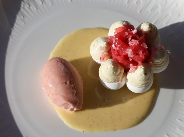 Yorkshire rhubarb & ginger, vacherin,  rhubarb sorbet