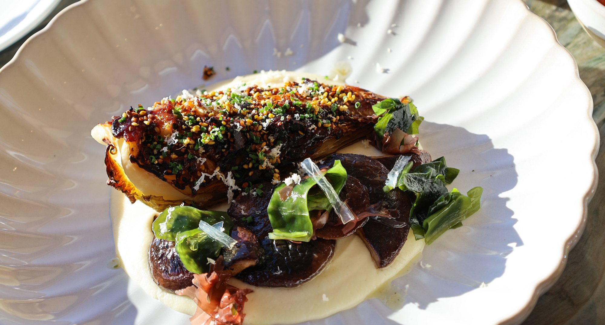 BBQ hispi cabbage, celeriac mousseline, wakame, yuzu kosho