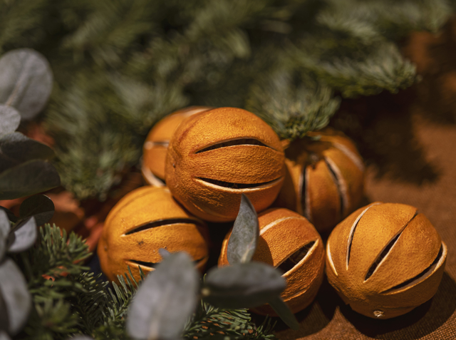 Close‑up of dried oranges nestled among fresh greenery for a festive decorative display.