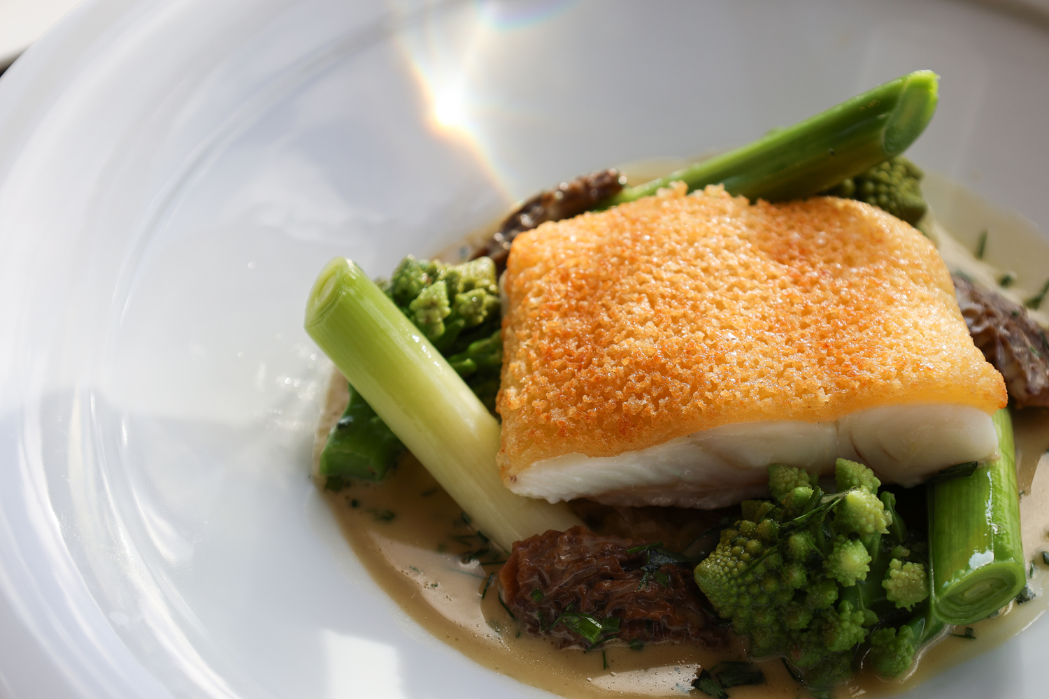 Loch Fyne halibut, Gruyère crust, baby leeks,  morels & Champagne sauce