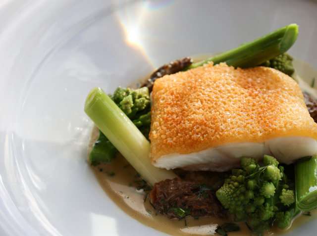 Loch Fyne halibut, Gruyère crust, baby leeks,  morels & Champagne sauce