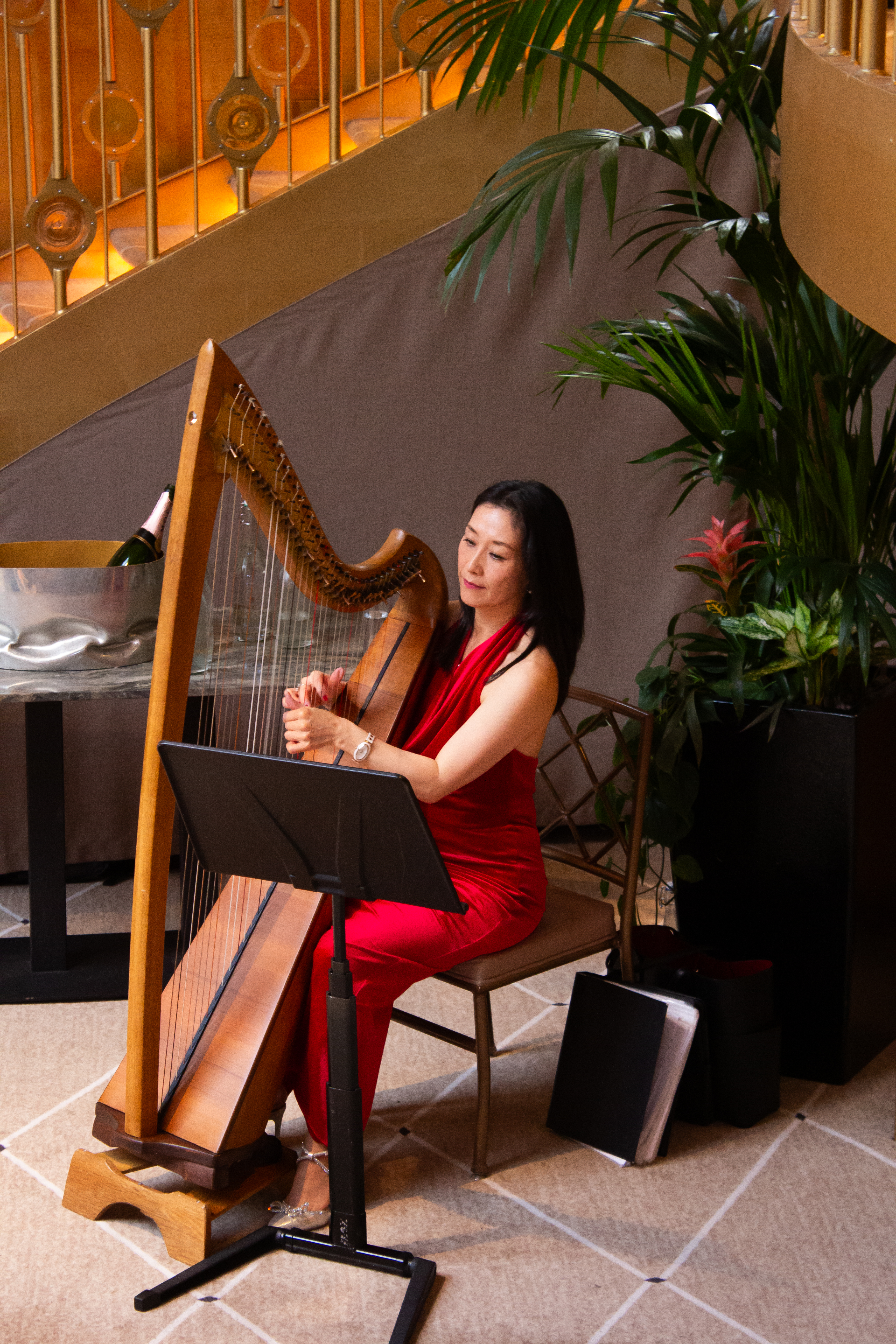 Woman in a red dress playing the harp