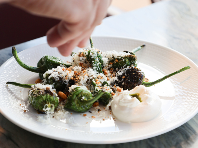 A plate of blistered green peppers topped with grated cheese and crushed seasoning, served with a dollop of creamy white sauce. A hand hovers above, sprinkling a finishing touch over the dish on a white textured plate set on a marble surface.